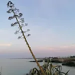 Mariposa